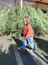 Load image into Gallery viewer, QUILTED LINER JACKET, RAW SIENNA