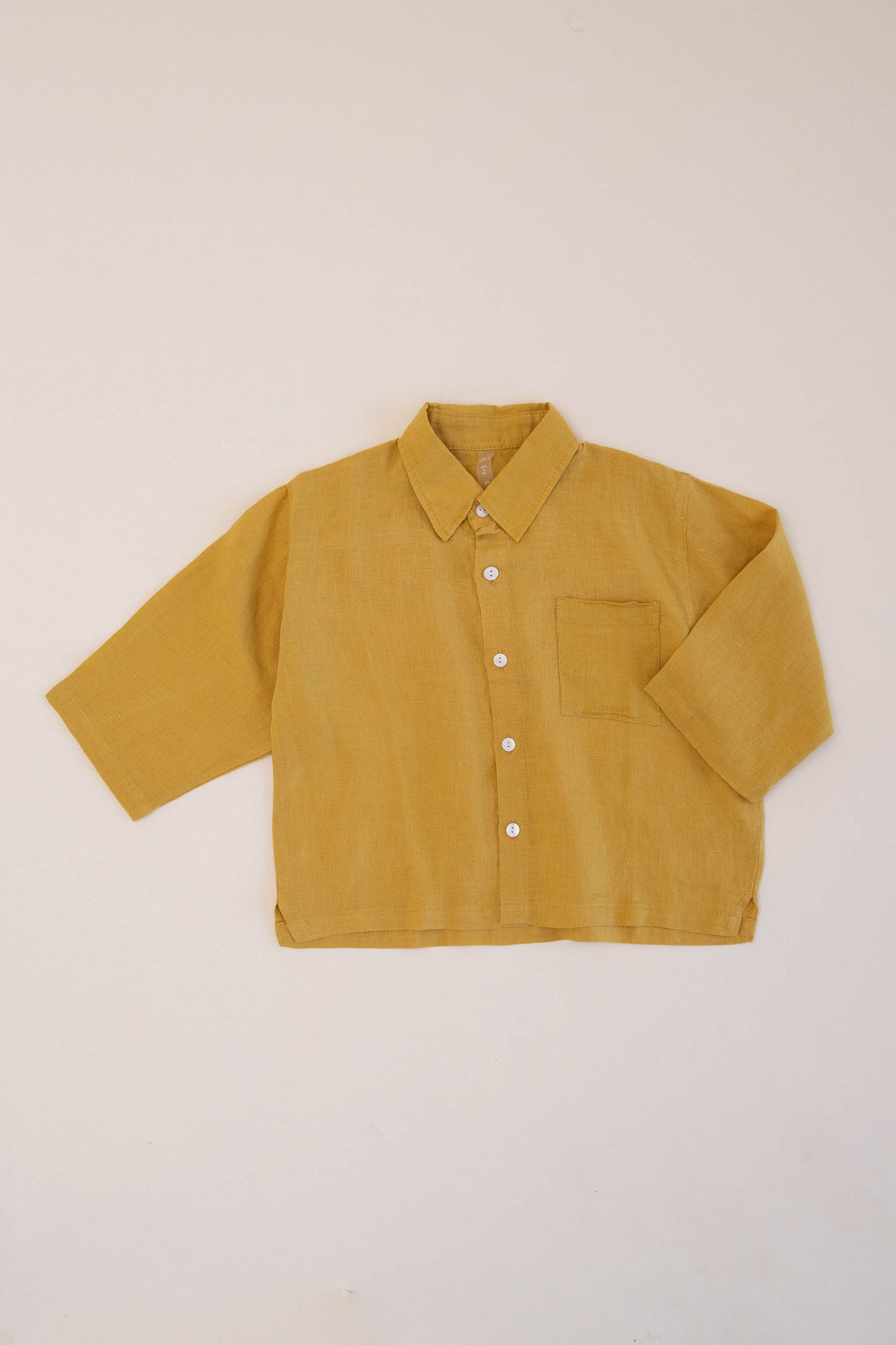 BOX BUTTON UP TOP, GOLDEN PALM